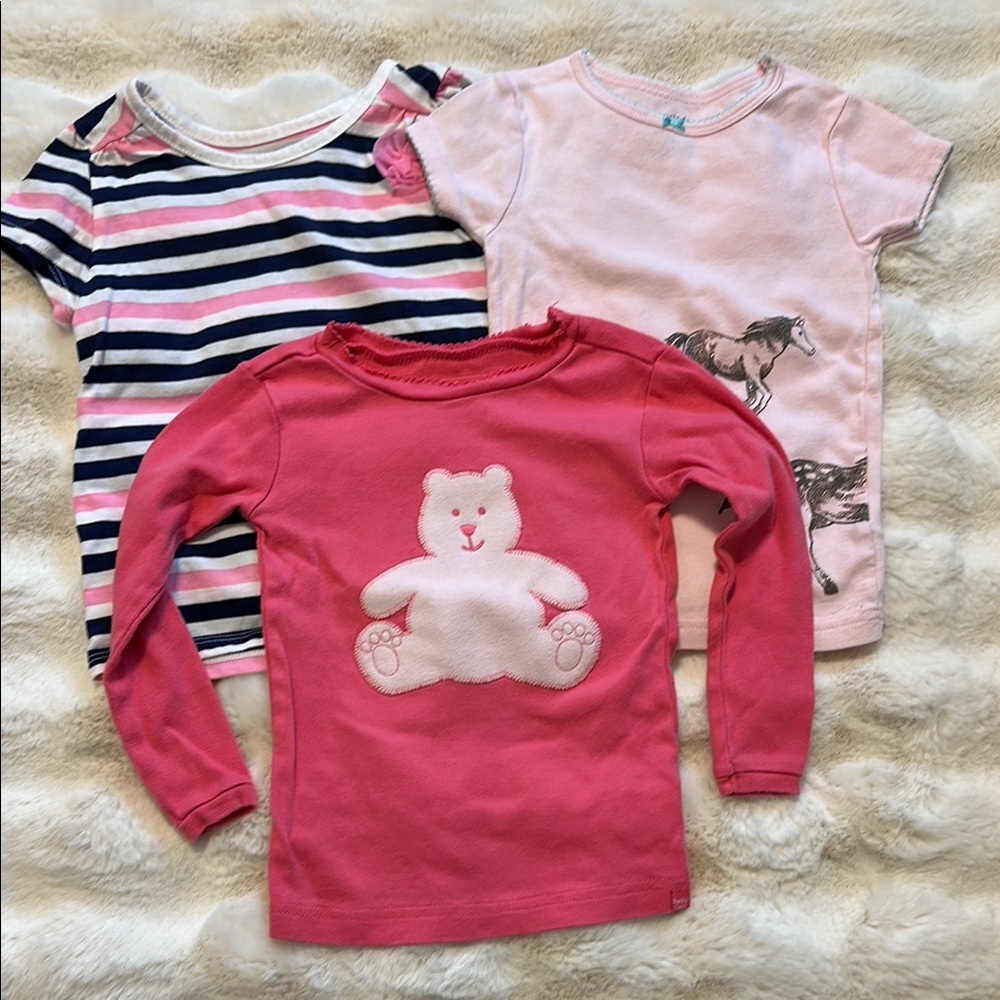 Pink Bear Graphic Kids Shirt Bundle